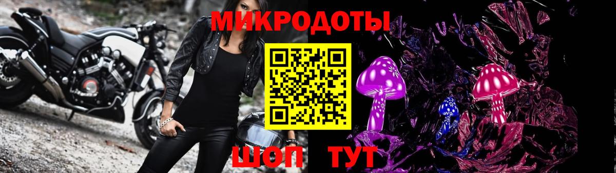 Заволжье  Псилоцибиновые грибы Psilocybine cubensis  Вход с VPN  Псилоцибиновые грибы Cubensis 