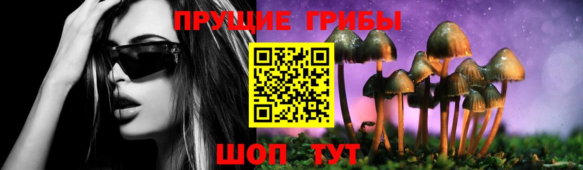 Галлюциногенные грибы MAGIC MUSHROOMS Заволжье